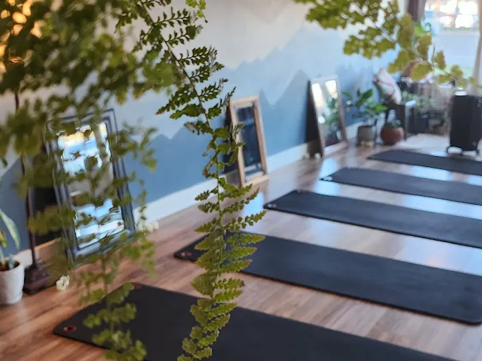 Life in the Body : Pilates, Yoga, Meditation Picture 3