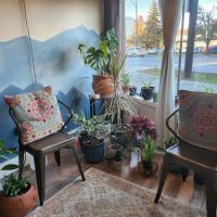 Life in the Body : Pilates, Yoga, Meditation ico