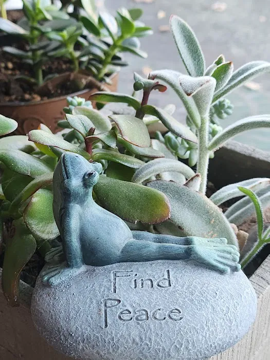 Life in the Body : Pilates, Yoga, Meditation Picture 9