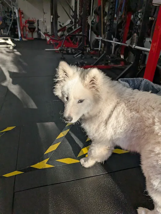 Westside Fitness Picture 7