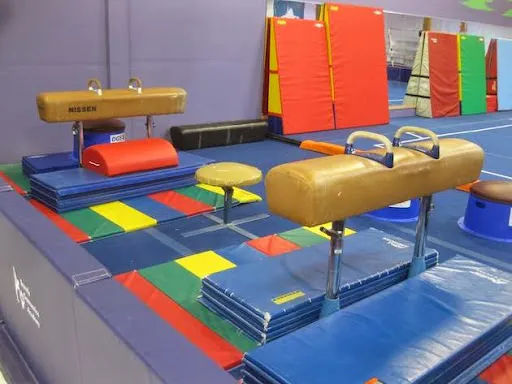 Seattle Gymnastics Academy - Columbia City Picture 5