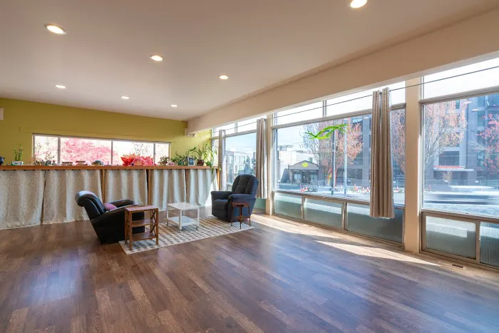 The Village Witch Hive Picture 5