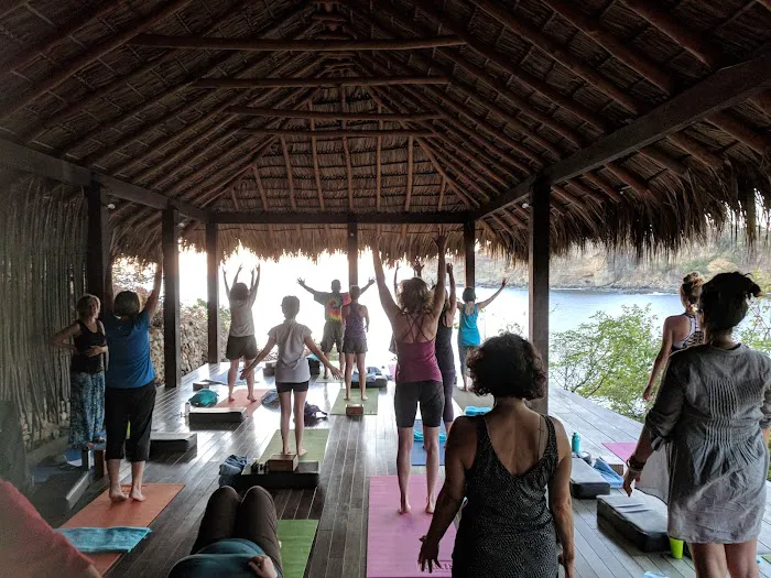 Essential Yoga Therapy Picture 6