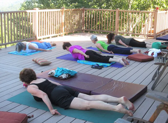 Essential Yoga Therapy Picture 4