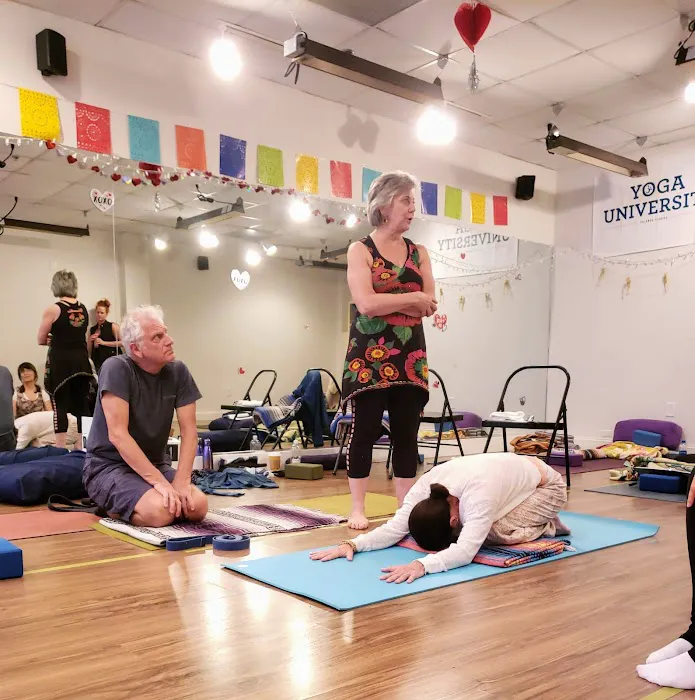 Essential Yoga Therapy Picture 3