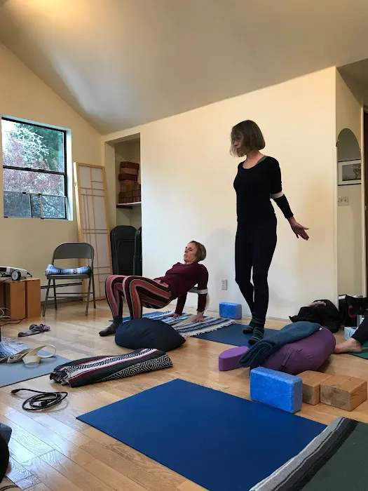 Essential Yoga Therapy Picture 10