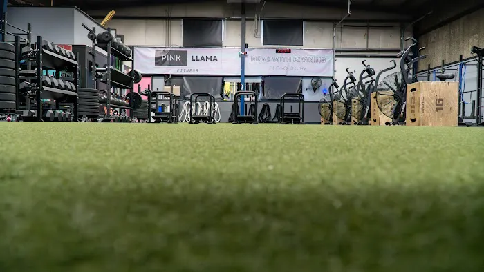 Pink Llama Fitness Picture 6