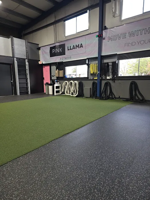 Pink Llama Fitness Picture 4
