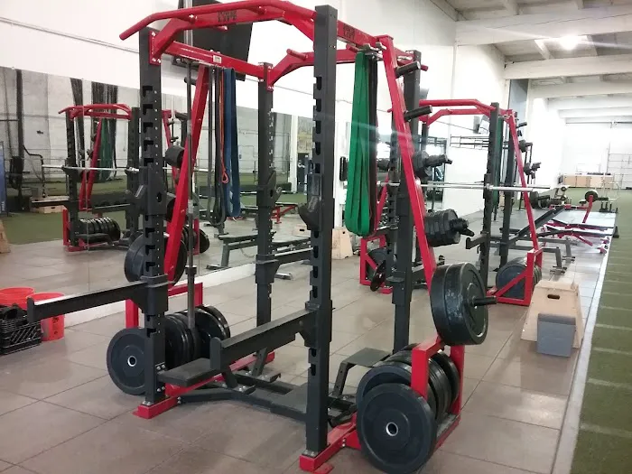 Athletic Form Picture 10