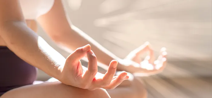 PROTEA YOGA Picture 3