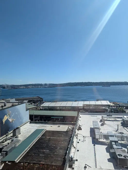 PROTEA YOGA Picture 1