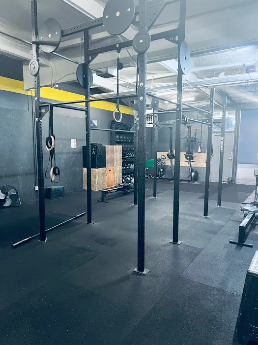 King Strength & Fitness Picture 10