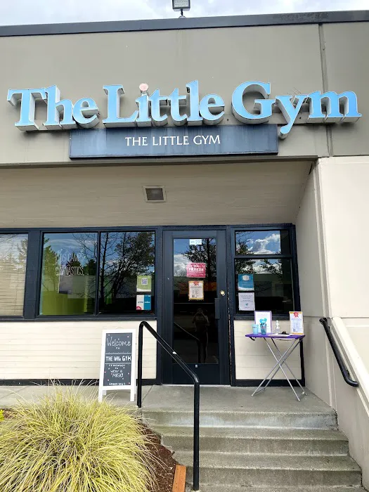 The Little Gym of Kent/Renton Picture 4