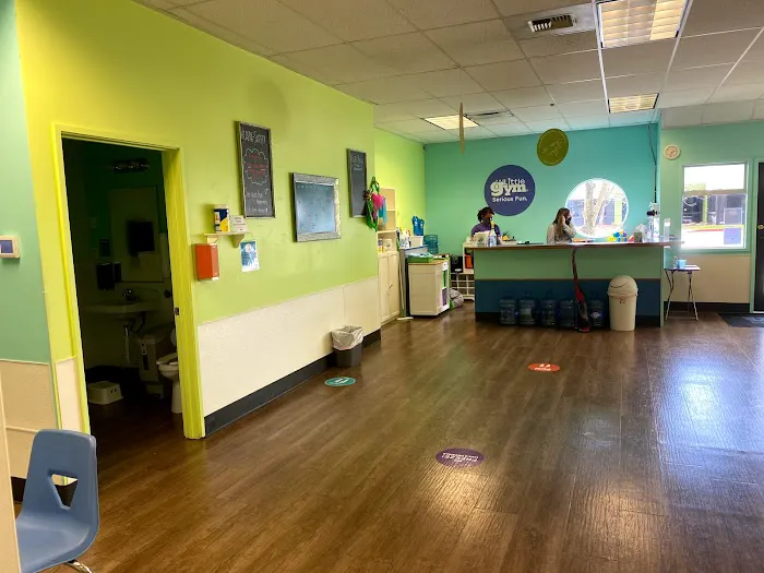 The Little Gym of Kent/Renton Picture 1