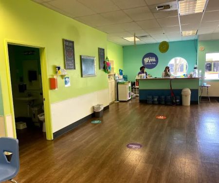 The Little Gym of Kent/Renton