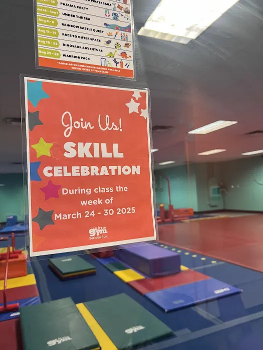 The Little Gym of Kent/Renton Picture 6