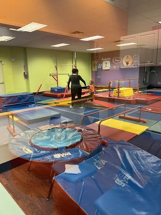 The Little Gym of Kent/Renton Picture 2