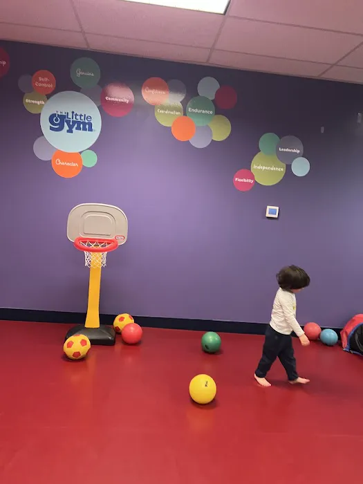The Little Gym of Kent/Renton Picture 8