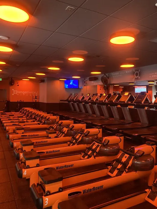 Orangetheory Fitness Picture 4