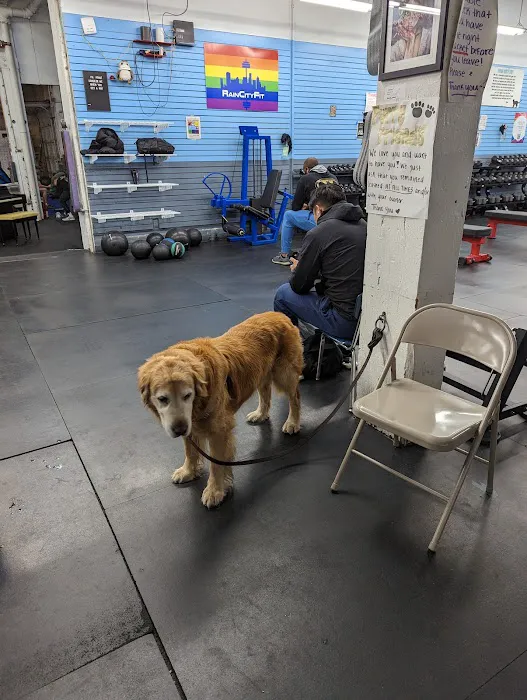 Rain City Fit Picture 3