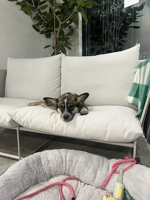 be here now. Picture 4