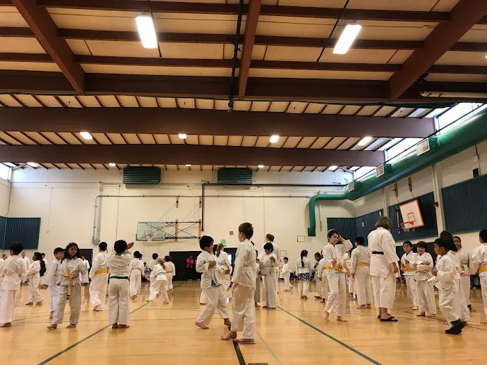 Tyee Community Gym Picture 8