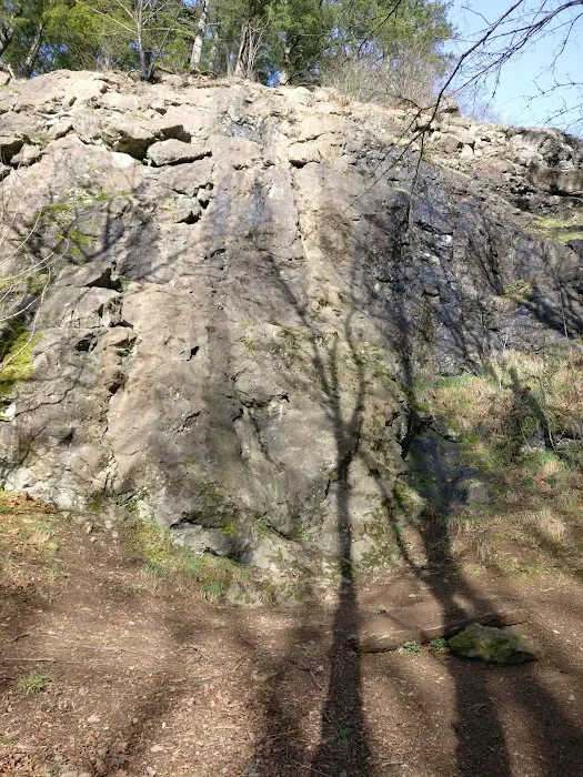 Cougar Mountain rock climbing wall Picture 2