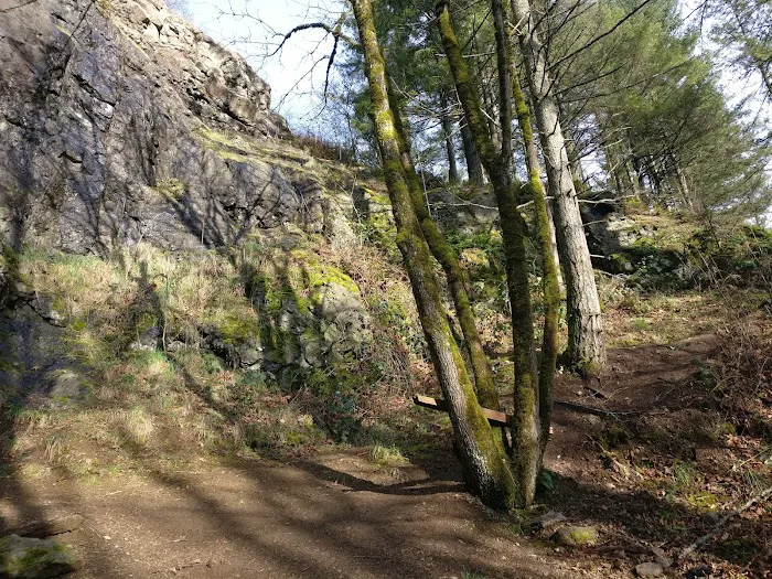 Cougar Mountain rock climbing wall Picture 1