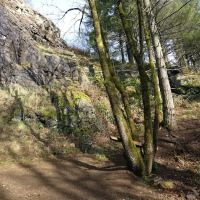 Cougar Mountain rock climbing wall ico