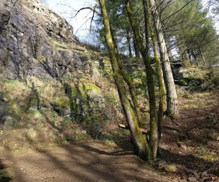 Cougar Mountain rock climbing wall
