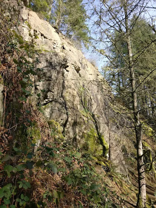 Cougar Mountain rock climbing wall Picture 3