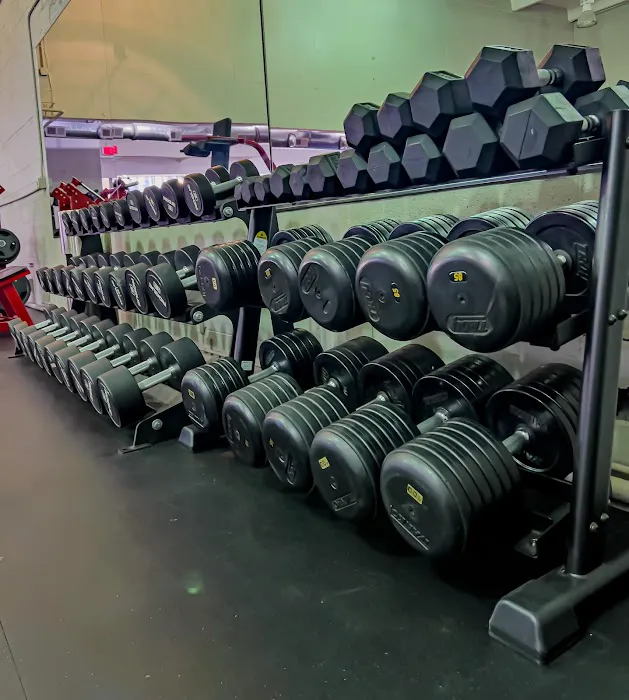 Transform 180 Fitness - SLU Gym Picture 9