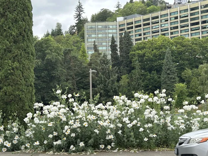 Breathe Hot Yoga Picture 4