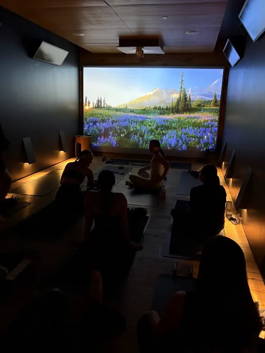 MOOV SANCTUARY Picture 4