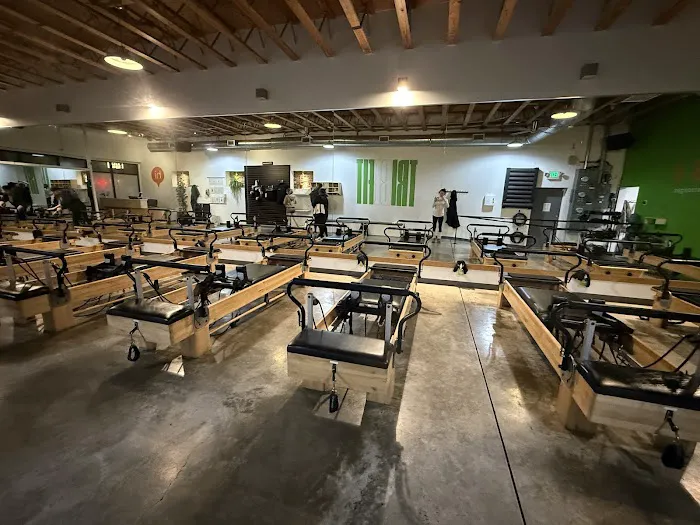 TRIBE Fitness Picture 2