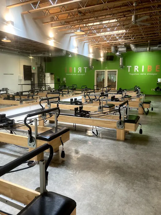 TRIBE Fitness Picture 5