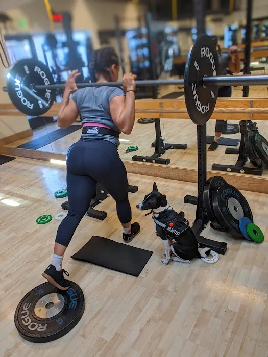 TRIBE Fitness Picture 1