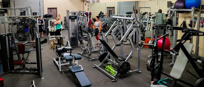 CZ Fitness Picture 2