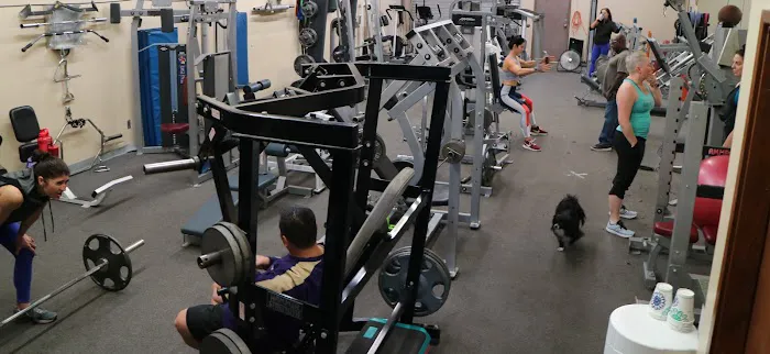 CZ Fitness Picture 3