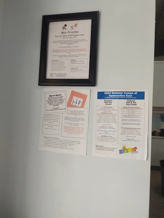 Gymnastics East Picture 3