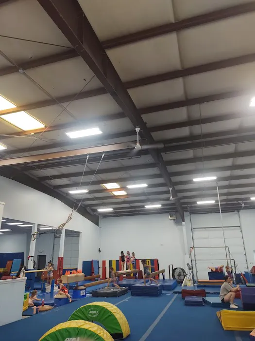 Gymnastics East Picture 5