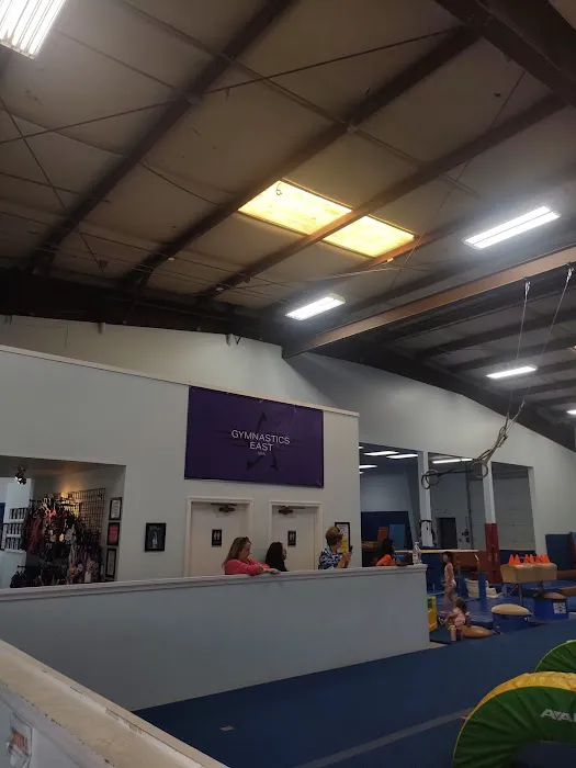 Gymnastics East Picture 2