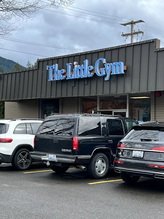 The Little Gym of Issaquah Picture 4
