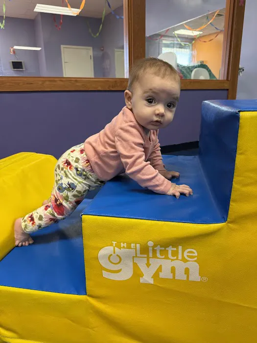 The Little Gym of Issaquah Picture 5