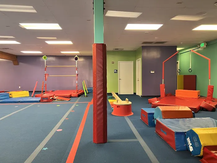 The Little Gym of Issaquah Picture 3