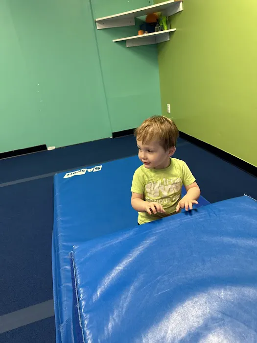 The Little Gym of Issaquah Picture 8