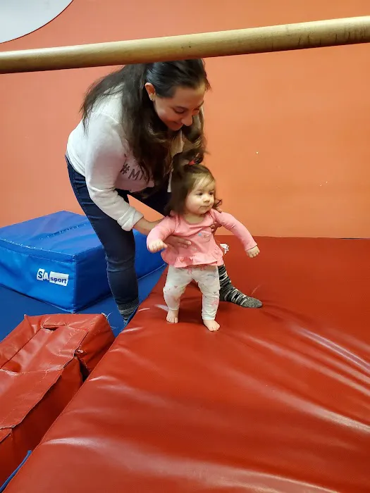 The Little Gym of Issaquah Picture 7