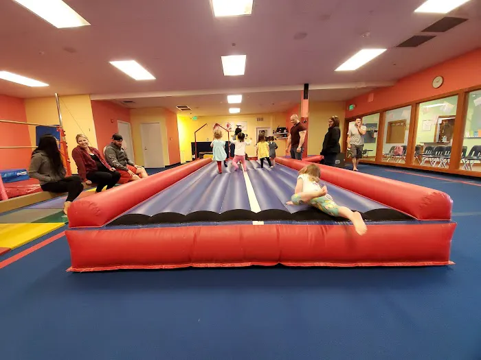 The Little Gym of Issaquah Picture 6