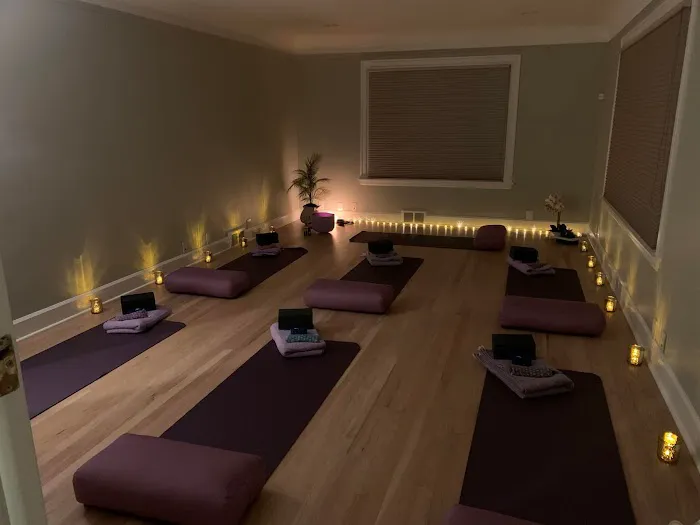 Arise Yoga & Wellness Picture 6