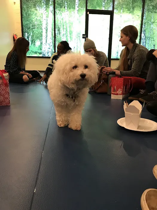 Spira Power Yoga Picture 1